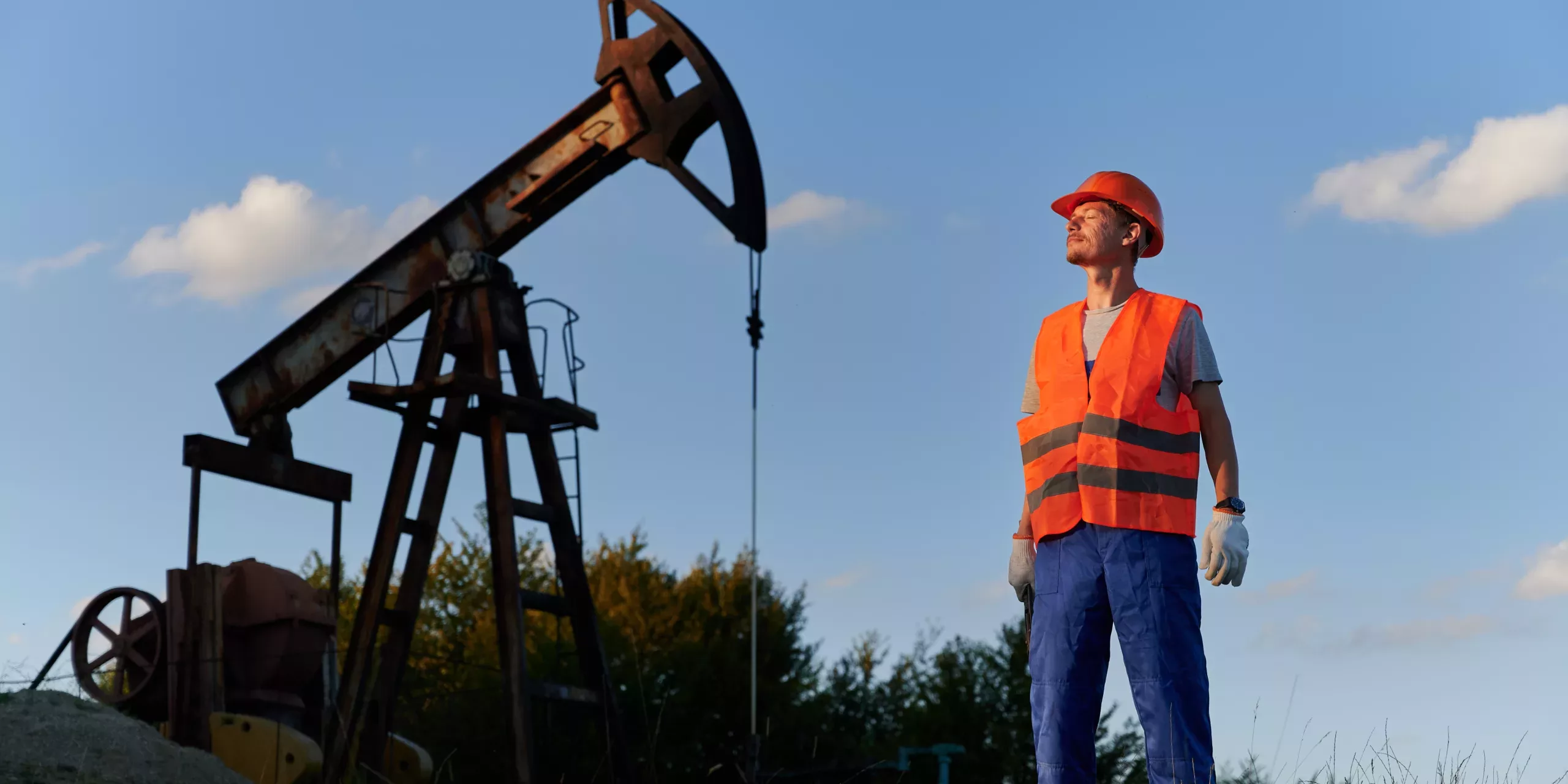 Energy Professionals